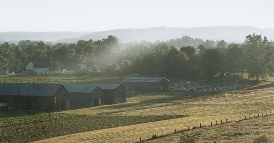 Barns.