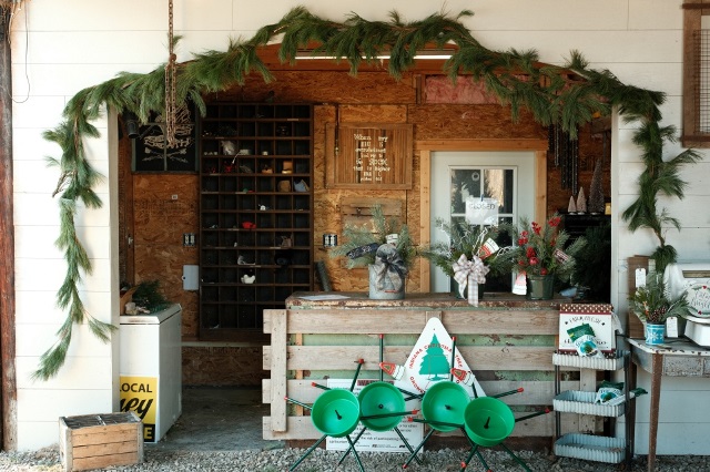 A U-cut Christmas tree farm farm diversification strategy