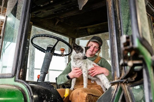 Innovative dairy farmer modernizing a family farming operation