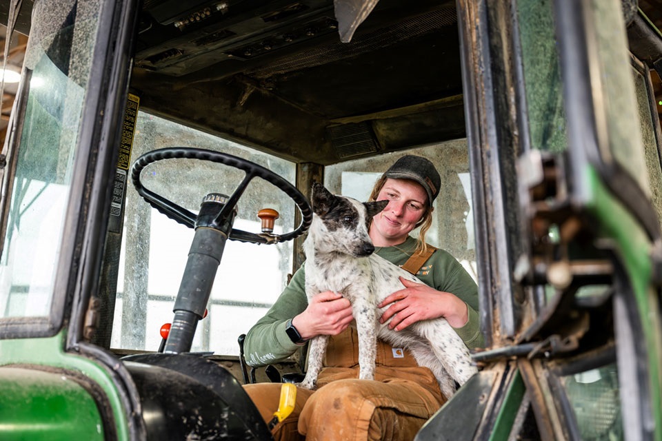 Innovative dairy farmer modernizing a family farming operation