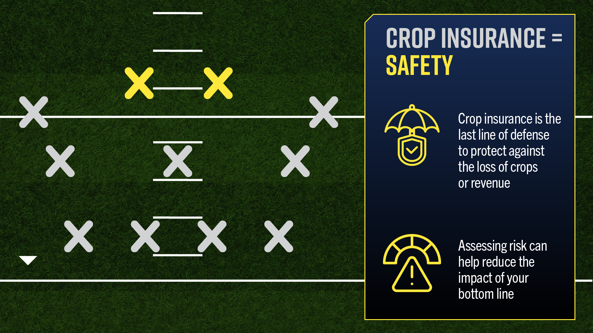 Crop Insurance safety