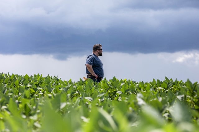 Man standing in soybean field.