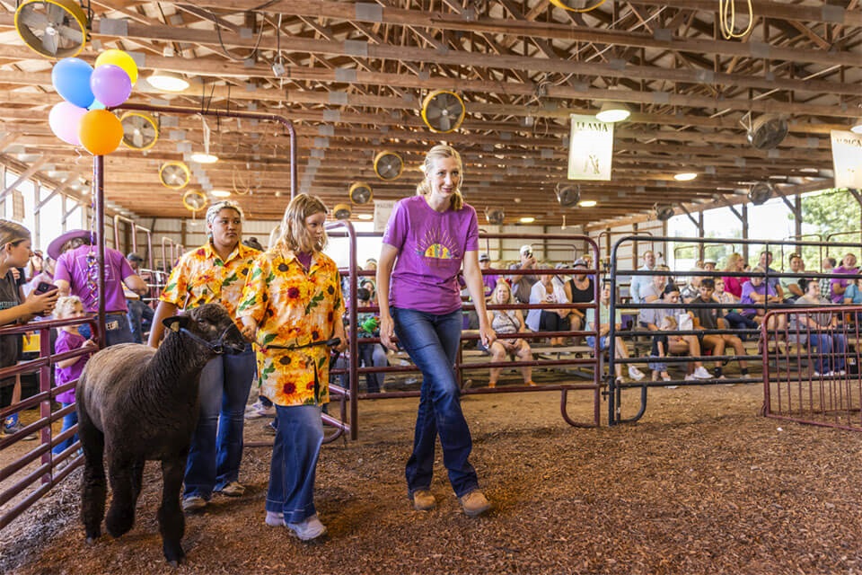 Hancock County Poss-Abilities Volunteer aids participants in showing a sheep