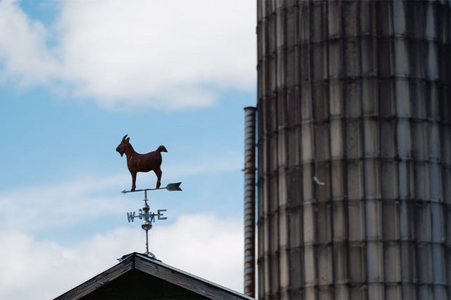 Grain silo and metal goat barn topper are shown at property financed by Rural 1st, a division of Farm Credit Mid-America.