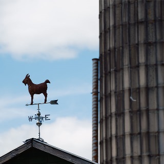 Grain silo and metal goat barn topper are shown at property financed by Rural 1st, a division of Farm Credit Mid-America.