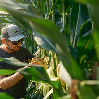 Indiana farmer growing a multigenerational farming operation