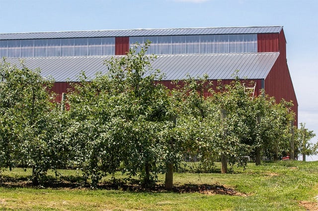 Building and trees at Huber's Orchard and Winery in Indiana.