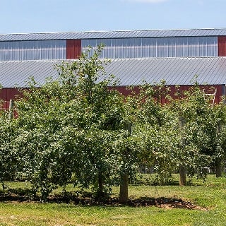 Building and trees at Huber's Orchard and Winery in Indiana.