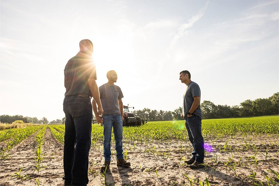 Three men stand and chat in a newly-planted crop field.
