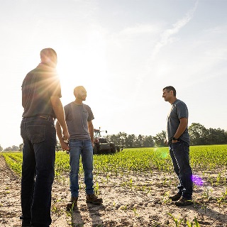 Three men stand and chat in a newly-planted crop field.
