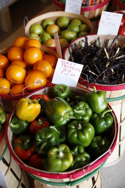 Baskets of various fresh produce