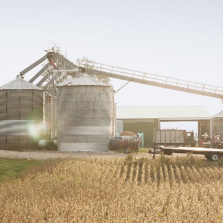 Farm landscape of grain bins and soybean field.