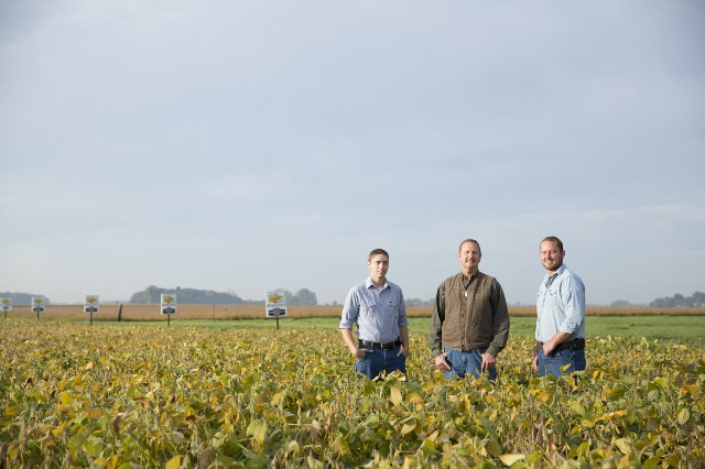 Three men standing in a field of soybeans.