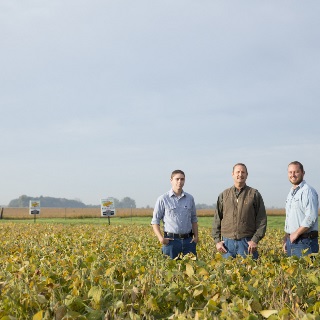 Three men standing in a field of soybeans.