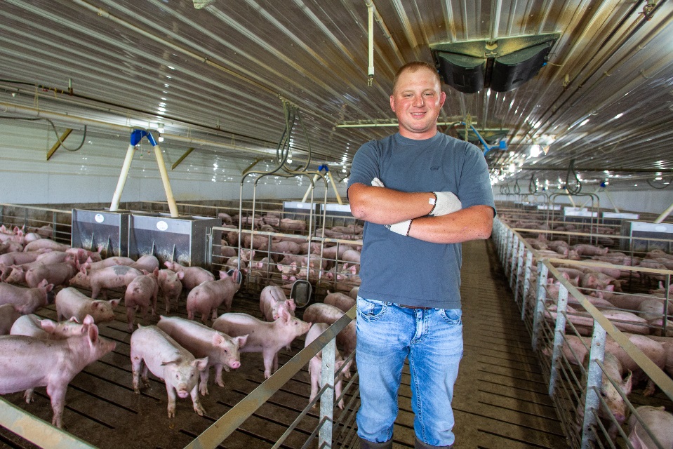 Hog farmer stands in barn financed by Farm Credit Mid-America