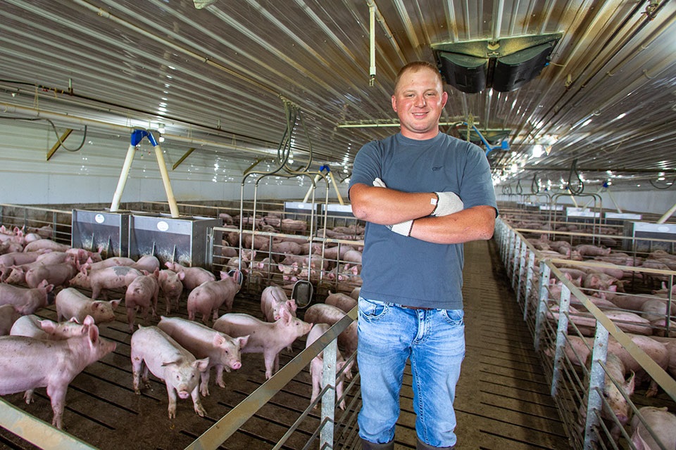 Hog farmer stands in barn financed by Farm Credit Mid-America.