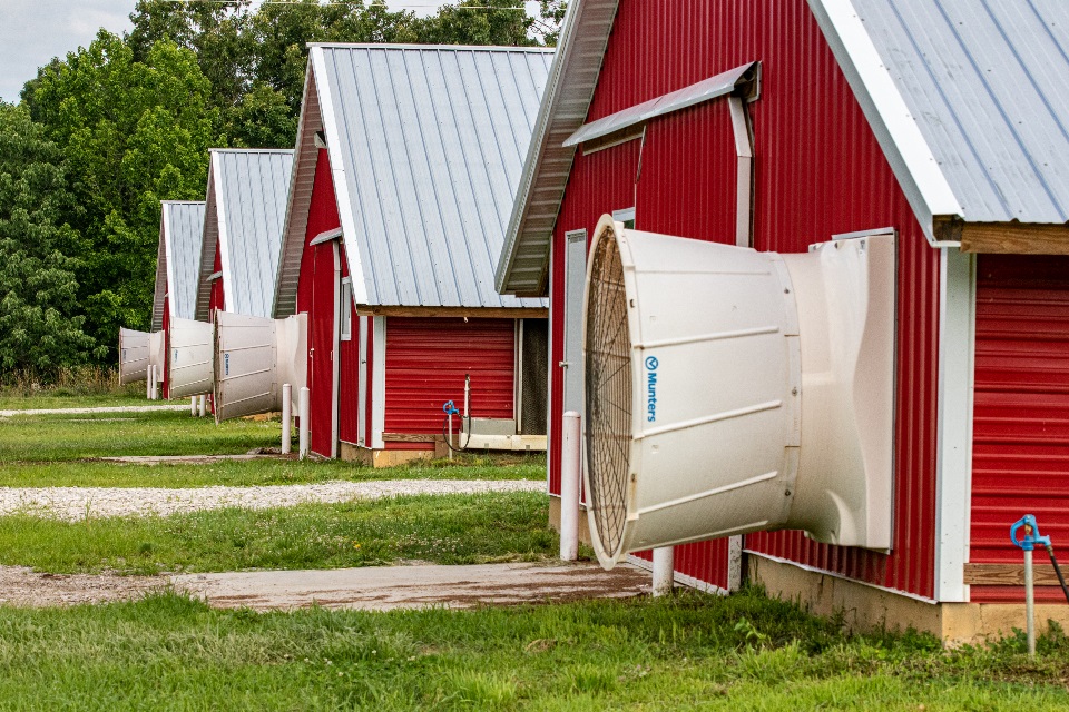 Red poultry barns financed by Farm Credit Mid-America