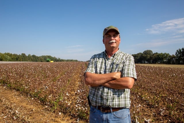 Man in front of cotton field.