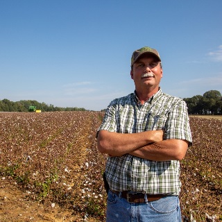 Man in front of cotton field.