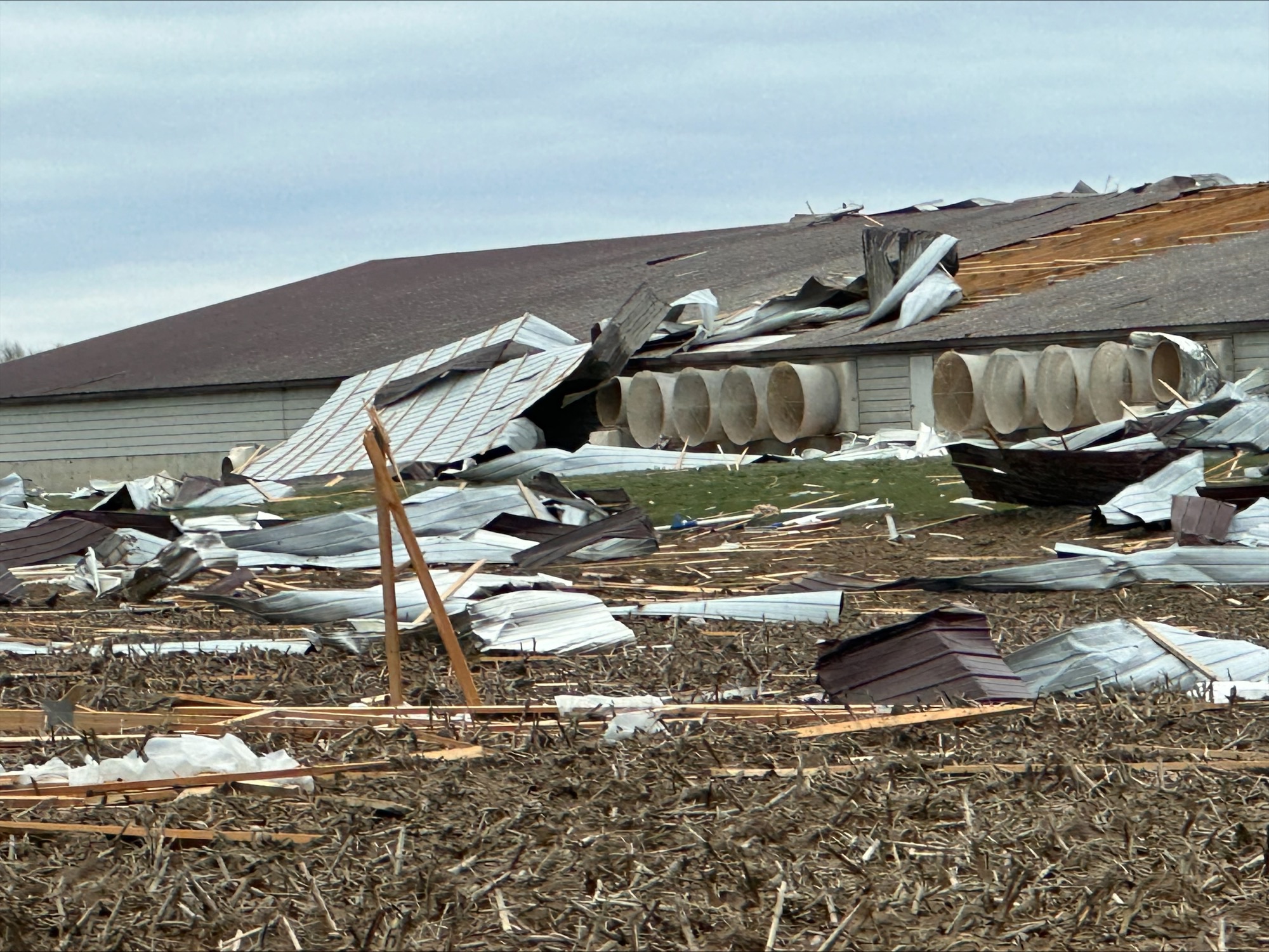 Swine barn damaged by tornado