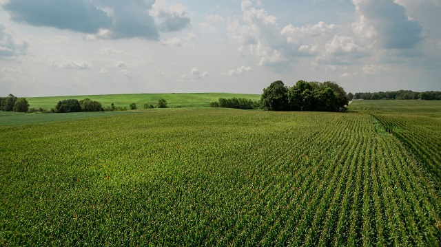 Aerial view of Midwest farmland illustrating farmland values and agricultural land market trends.