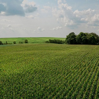Aerial view of Midwest farmland illustrating farmland values and agricultural land market trends.