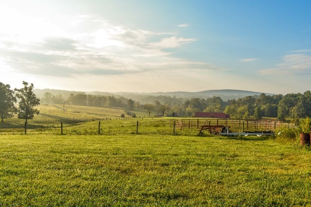 Farm landscape