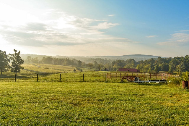 Farm landscape