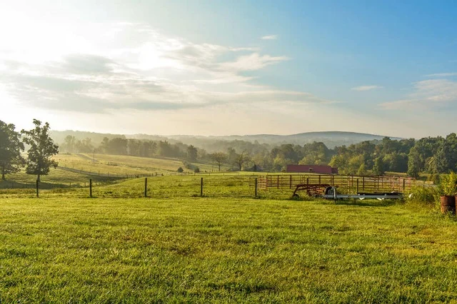 Farm landscape