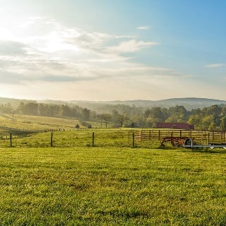 Farm landscape