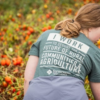 Farm Credit Mid-America team member harvesting tomatoes