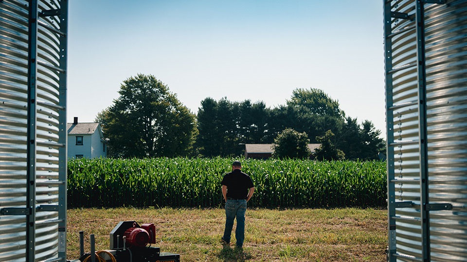 First time farmer with hands in pocket looking out on field of corn