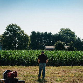 First time farmer with hands in pocket looking out on field of corn