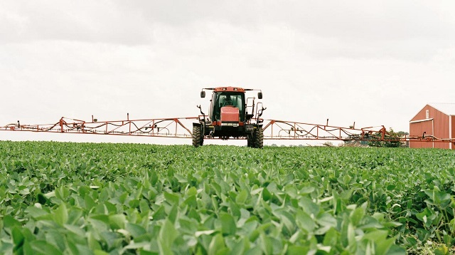 Tractor spraying soybeans.
