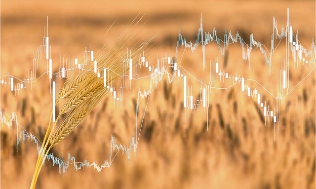 Graph over a wheat field