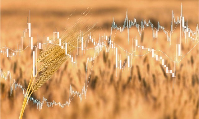 Graph over a wheat field