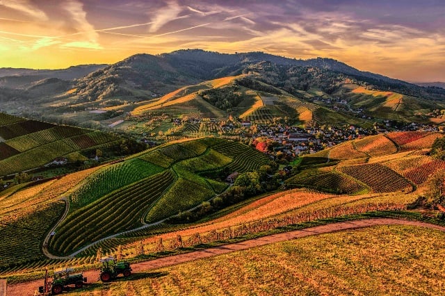 Aerial of a European farm town.