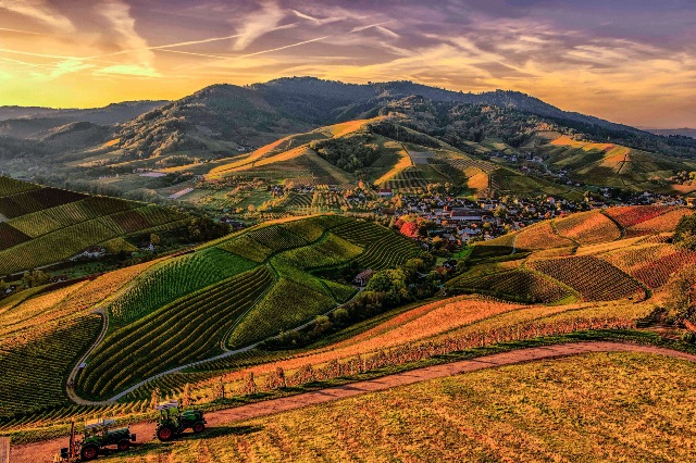 Aerial of a European farm town.