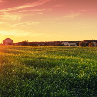 Farm with a sunrise