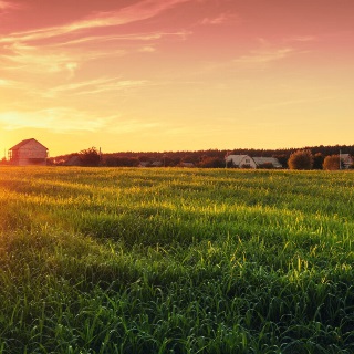 Farm with a sunrise