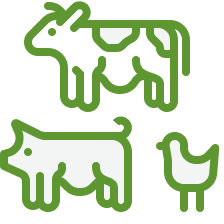 Cow, pig, chicken