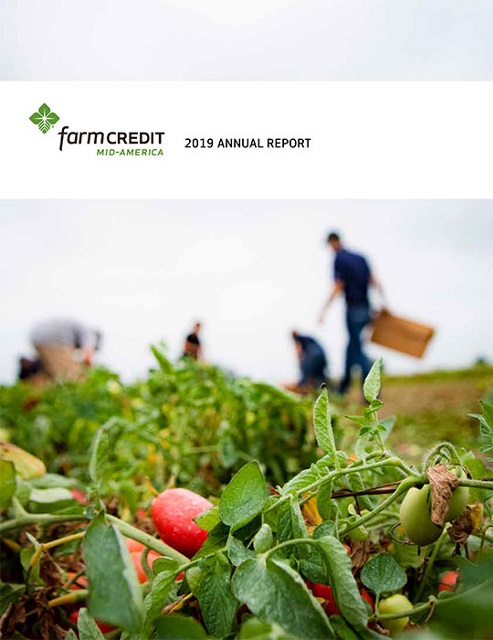 2019 Annual Report