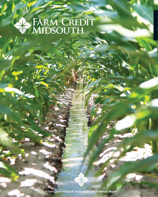 2019 Annual Report Midsouth