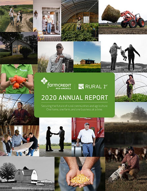 2020 Annual Report