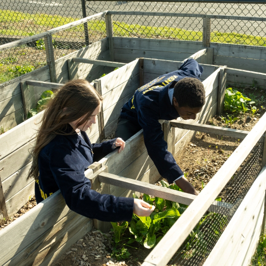 FFA Students work in garden funded by Youth in Ag Innovation