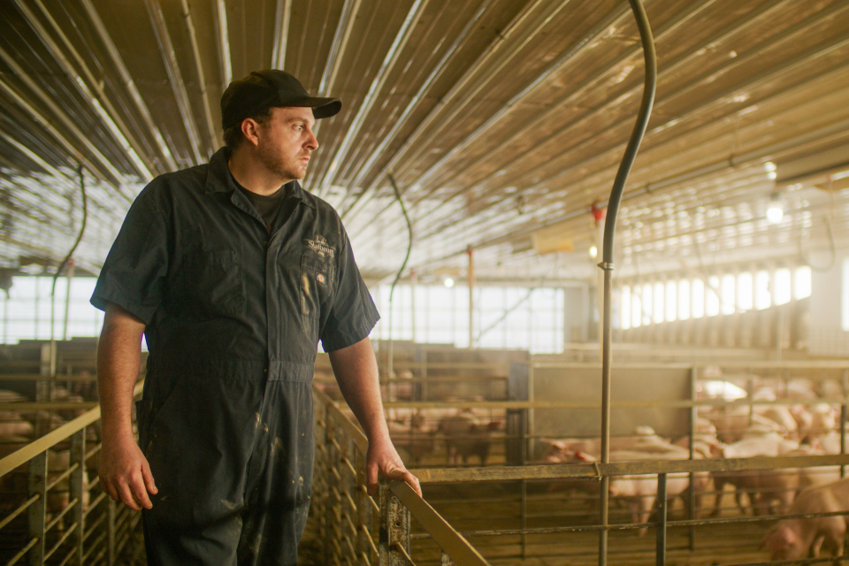 farmer standing inside newly constructed hog barn financed by Farm Credit Mid-America