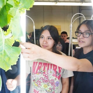 Two girls point to a green plant.