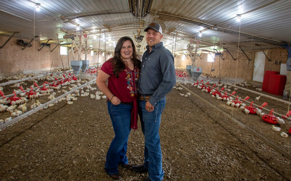 Woman and man in broiler house.