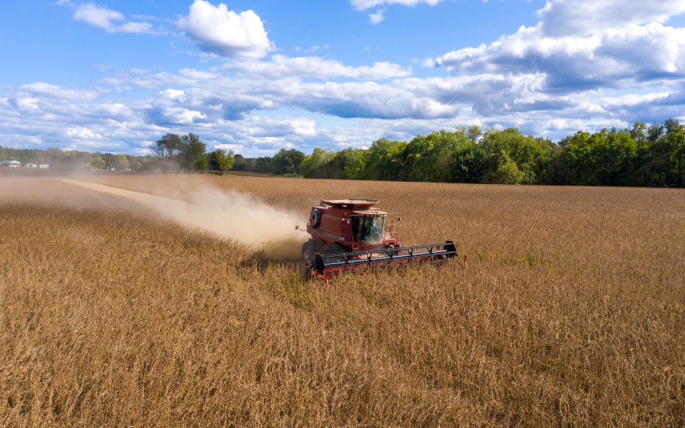 Red combine harvesting soybeans