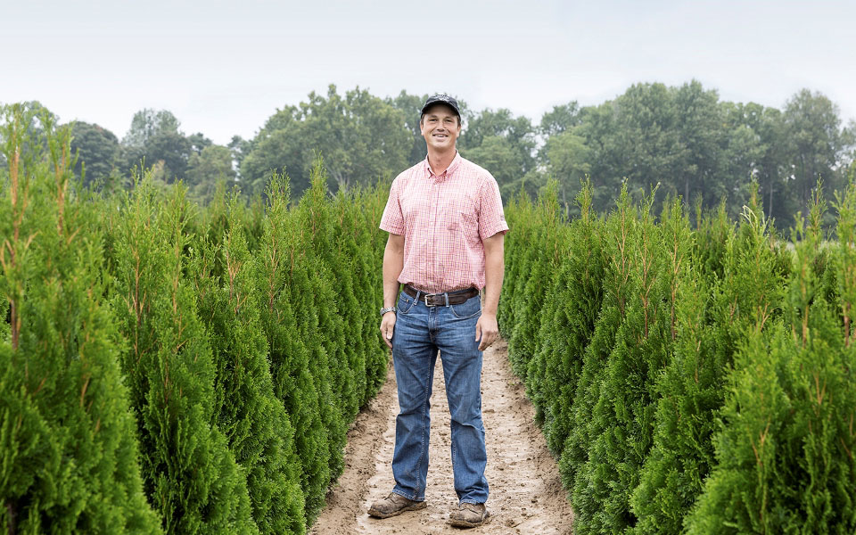 Man in a red checkered shirt stands between two rows of evergreen trees.